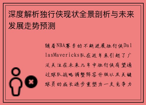 深度解析独行侠现状全景剖析与未来发展走势预测